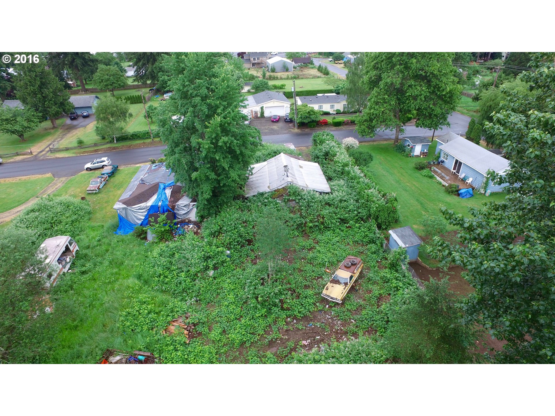 27645 Southeast Wally Road Boring, OR 97009 - Photo 2 of 6 a open area with lots of trees