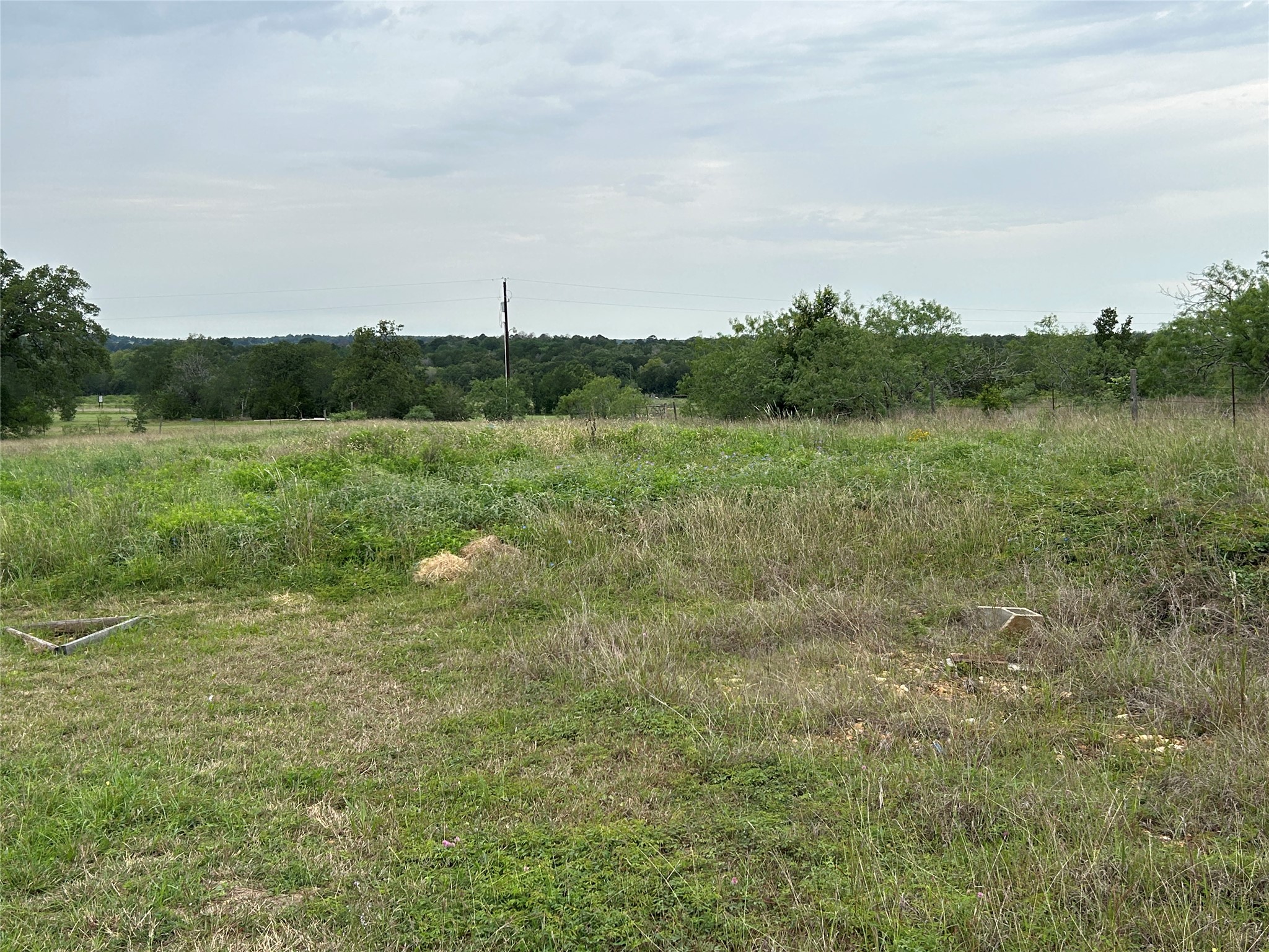 136 Fm 2239 Road Paige, TX 78659 - Photo 19 of 29 a view of a field of grass and trees
