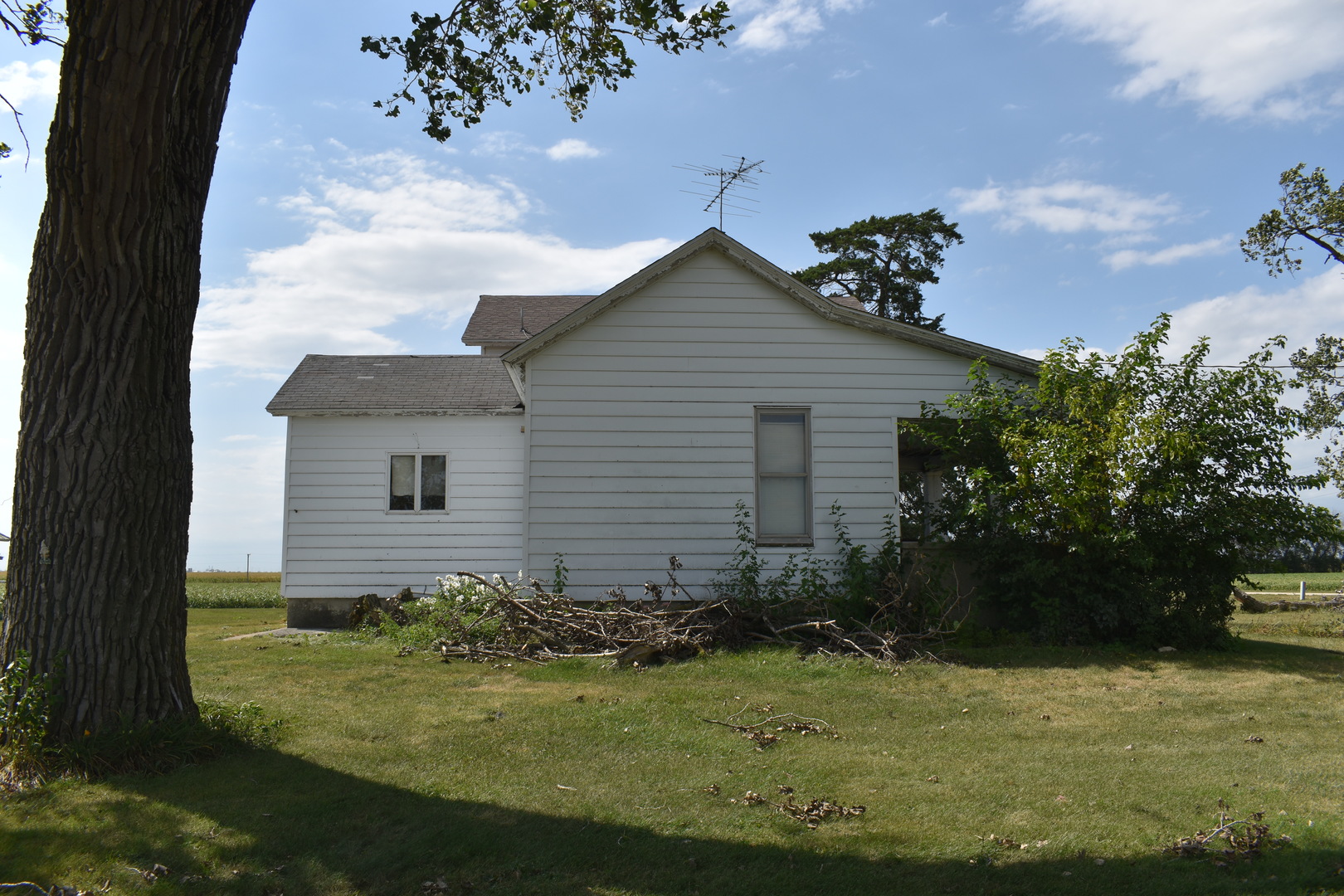 17848 West 3000th Road South Reddick, IL 60961 - Photo 4 of 22