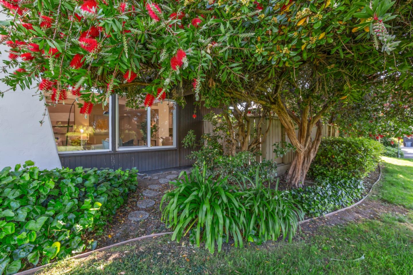 8 Cassandra Way Mountain View, CA 94043 - Photo 29 of 35 a tree lined with flowers