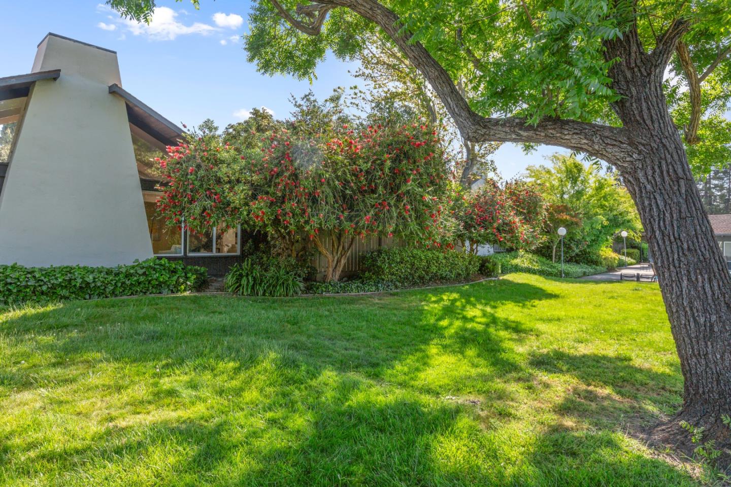 8 Cassandra Way Mountain View, CA 94043 - Photo 30 of 35 a view of a yard with a tree