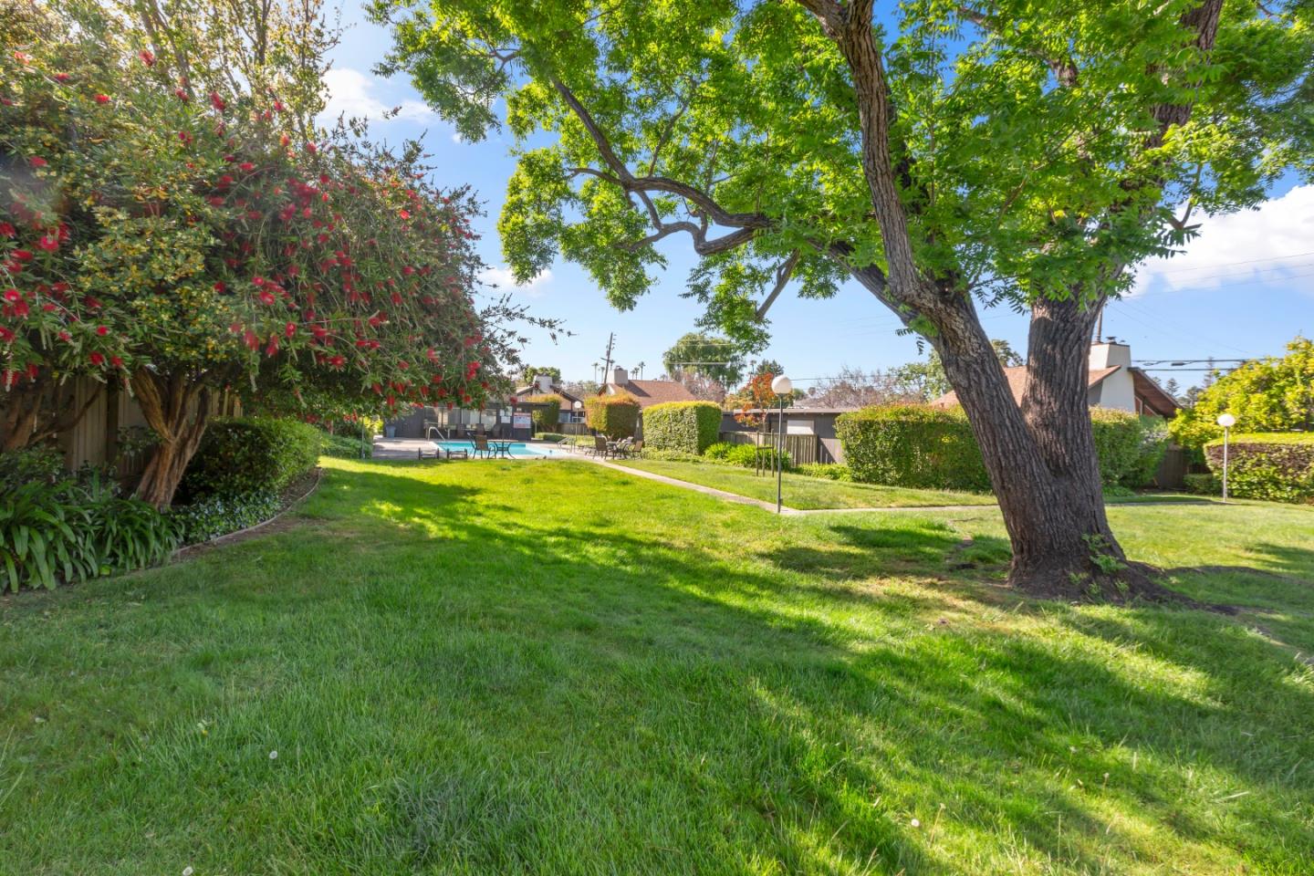 8 Cassandra Way Mountain View, CA 94043 - Photo 33 of 35 a view of yard with swimming pool and green space