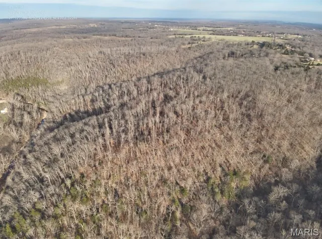 $135,000 | Tbd Creek Road, Dixon, MO 65459