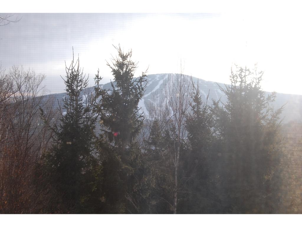 637 Old Ridge Road Winhall, VT 05340 - Photo 15 of 15