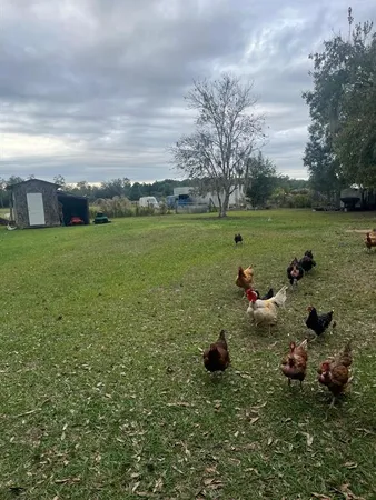 a view of a lake with outdoor space