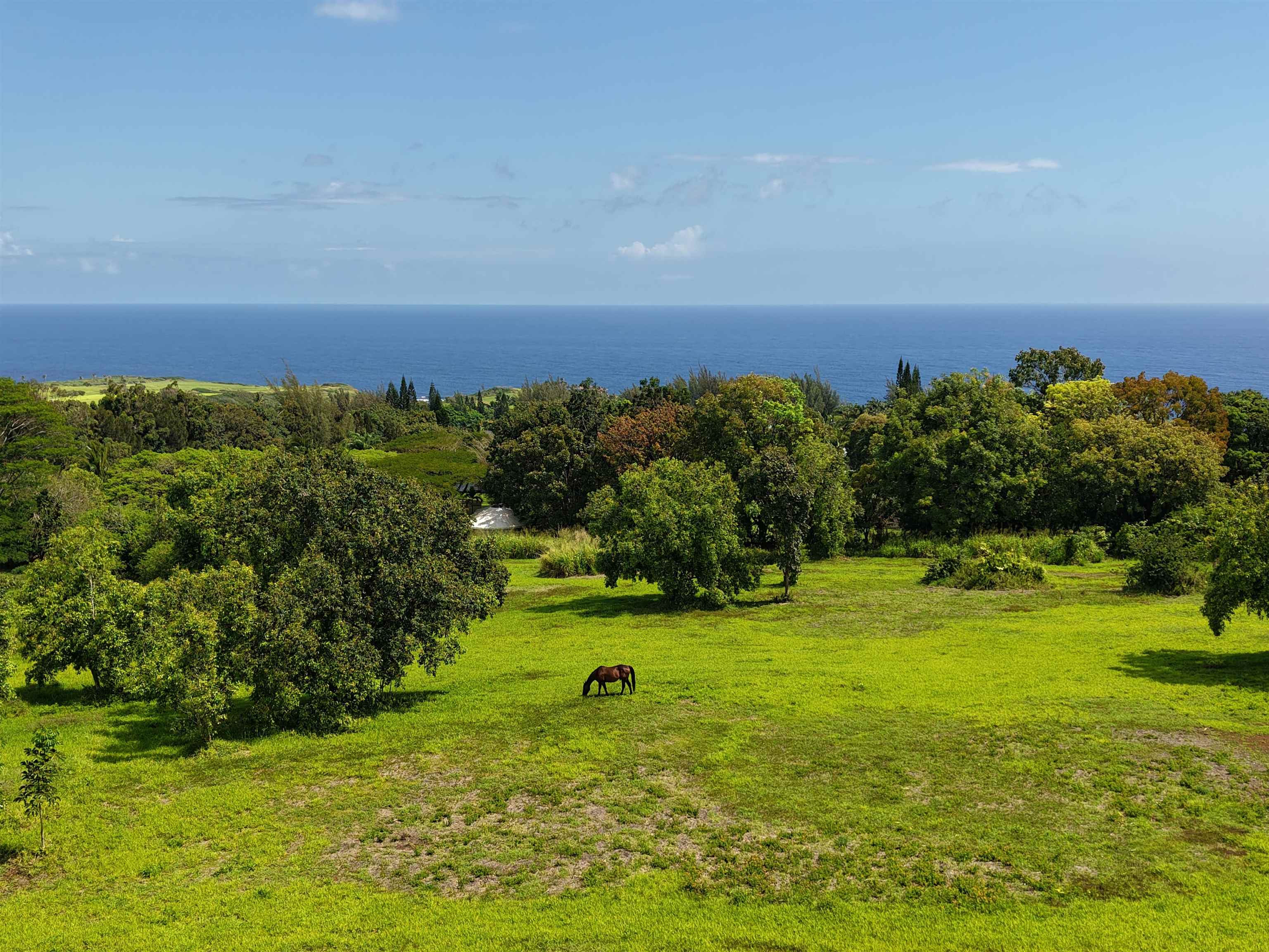 155 Manawai Place Haiku, HI 96708 - Photo 2 of 15