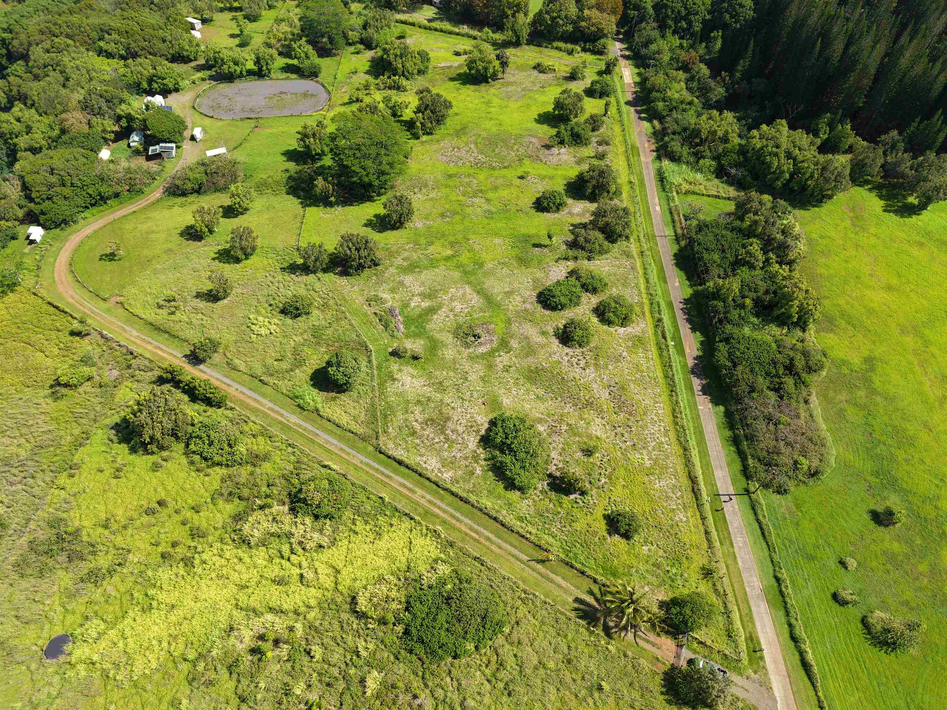 155 Manawai Place Haiku, HI 96708 - Photo 8 of 15