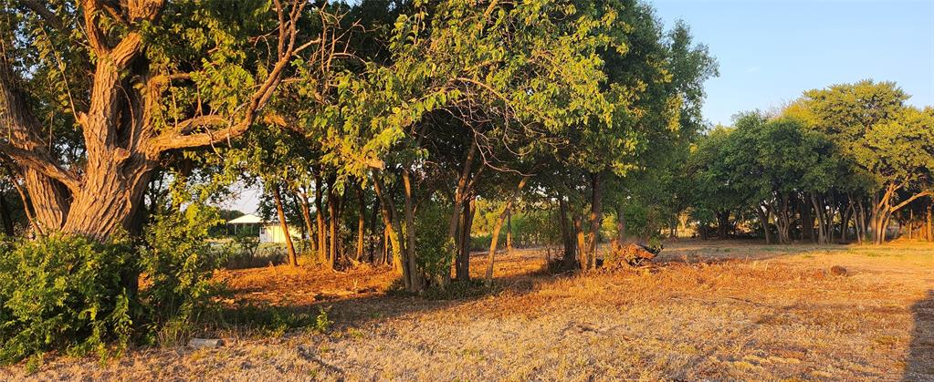 592 Pike Road Gunter, TX 75058 - Photo 9 of 40 View of local wilderness