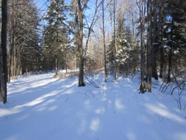 On Cemetery Road Prentice, WI 54556 - Photo 1 of 3 Gallery Image 1
