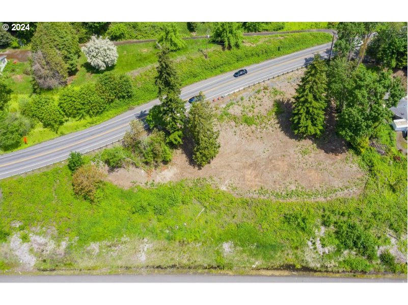 580 Northwest Brady Road Camas, WA 98607 - Photo 5 of 7 a view of a yard with a tree