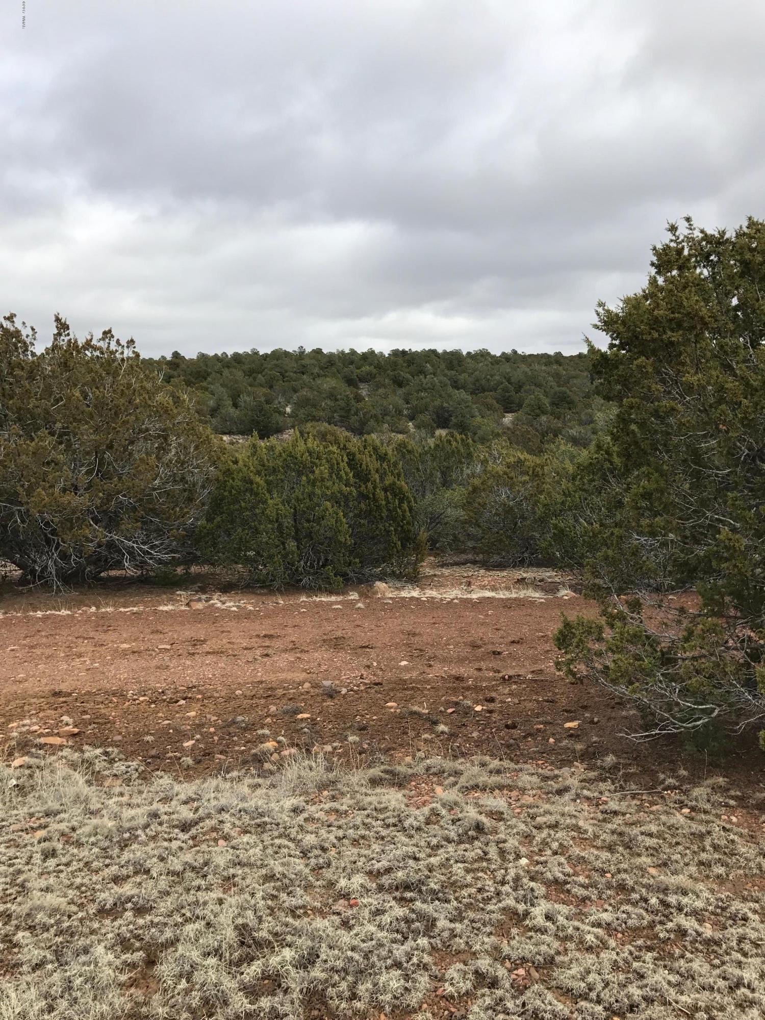 Lots #248 Lots Show Low, AZ 85901 - Photo 2 of 8