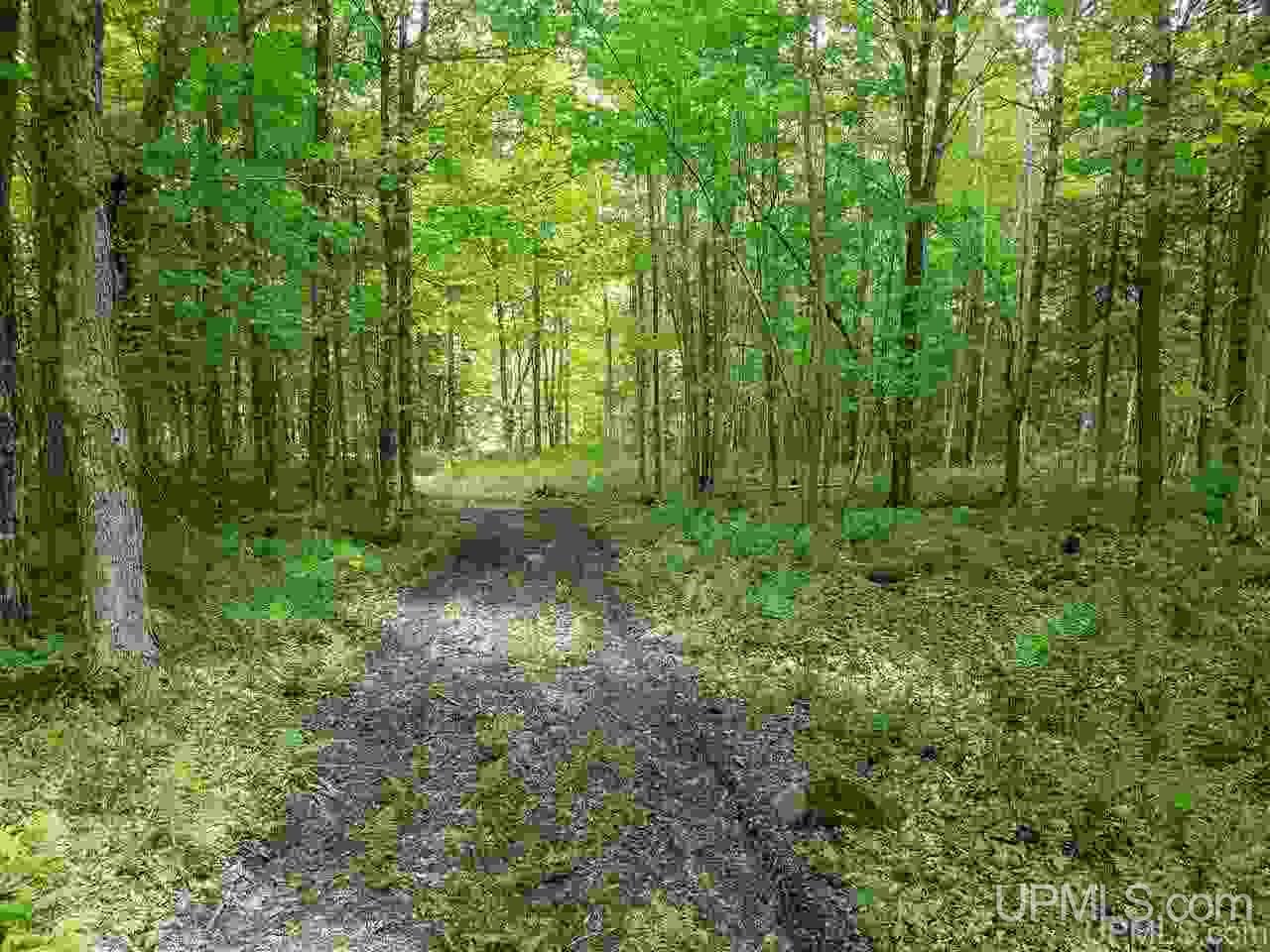 40-ac Parks Farm Road Iron River, MI 49935 - Photo 11 of 20