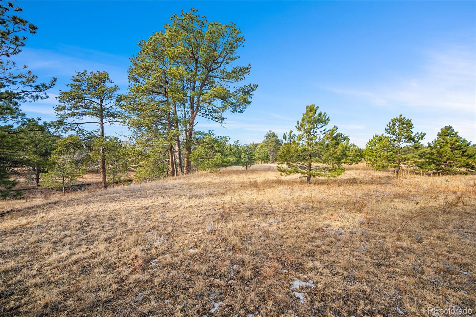12095 Grandin Elbert, CO 80106 - Photo 19 of 23 a view of backyard with outdoor space