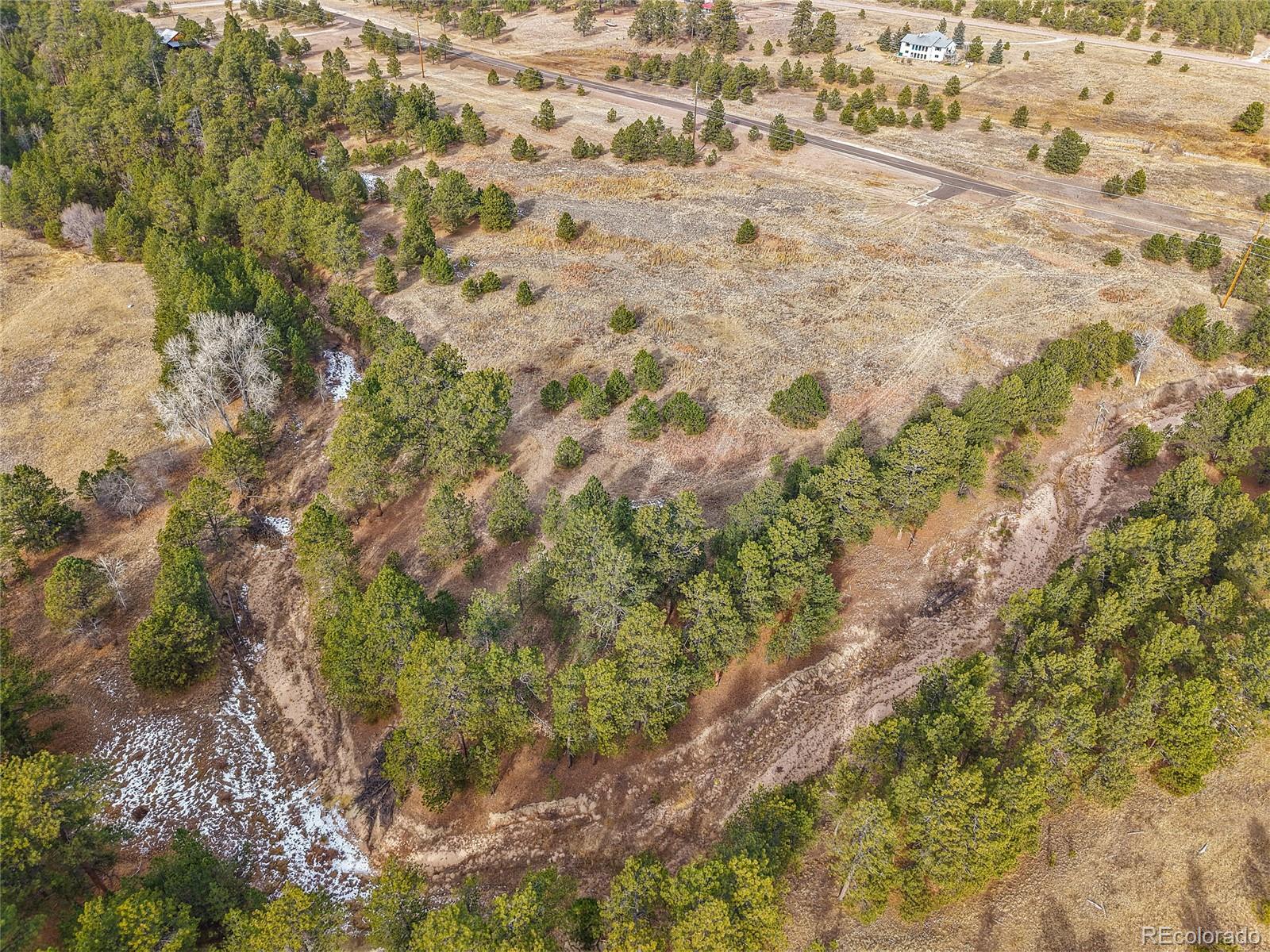 12095 Grandin Elbert, CO 80106 - Photo 5 of 23