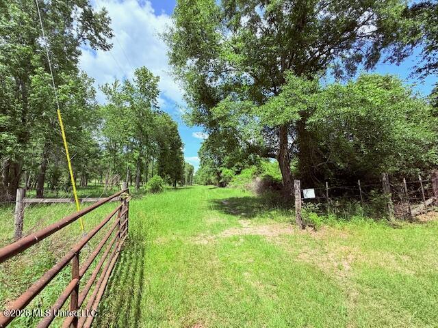 37 Fortenberry Road Tylertown, MS 39667 - Photo 73 of 83 IMG_3711