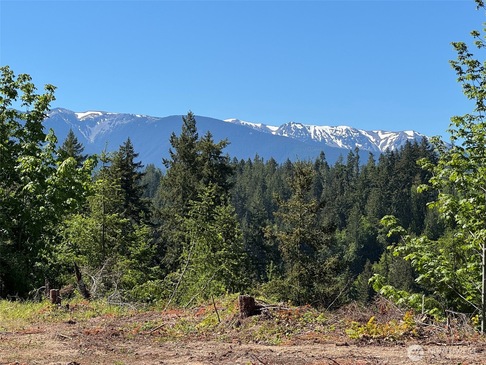 9999 Blue Mountain Road Port Angeles, WA 98362 - Photo 10 of 38 Gallery Image 10