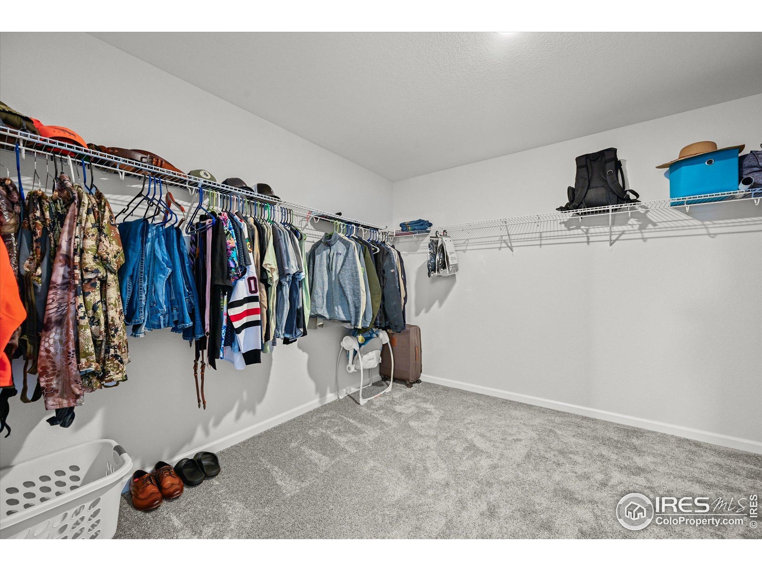 950 Rustling Street Windsor, CO 80550 - Photo 24 of 49 a view of walk in closet with clothes and shoes