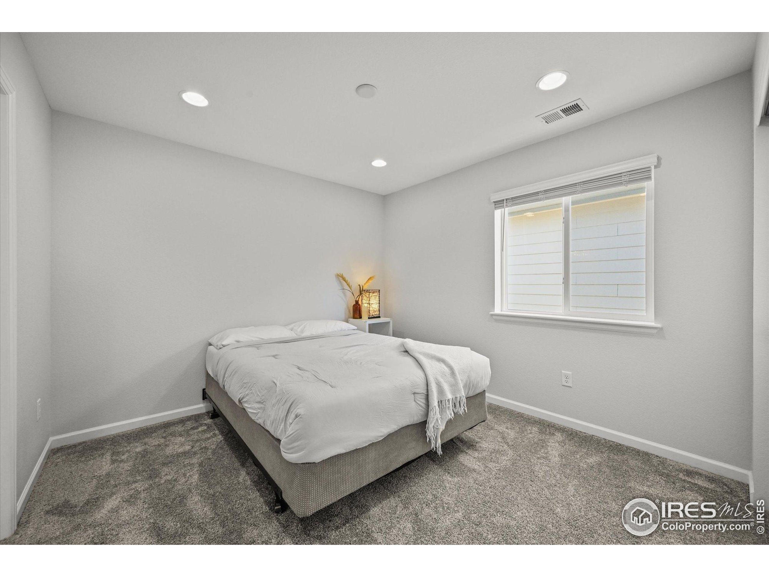 950 Rustling Street Windsor, CO 80550 - Photo 25 of 49