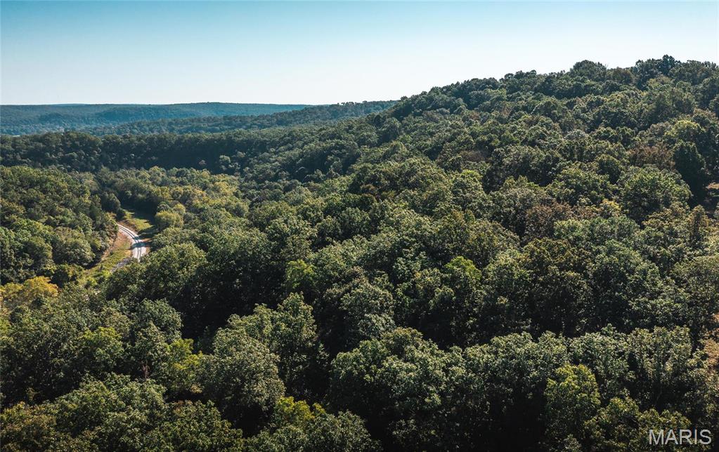 14600 Texas Road St. Robert, MO 65584 - Photo 11 of 40