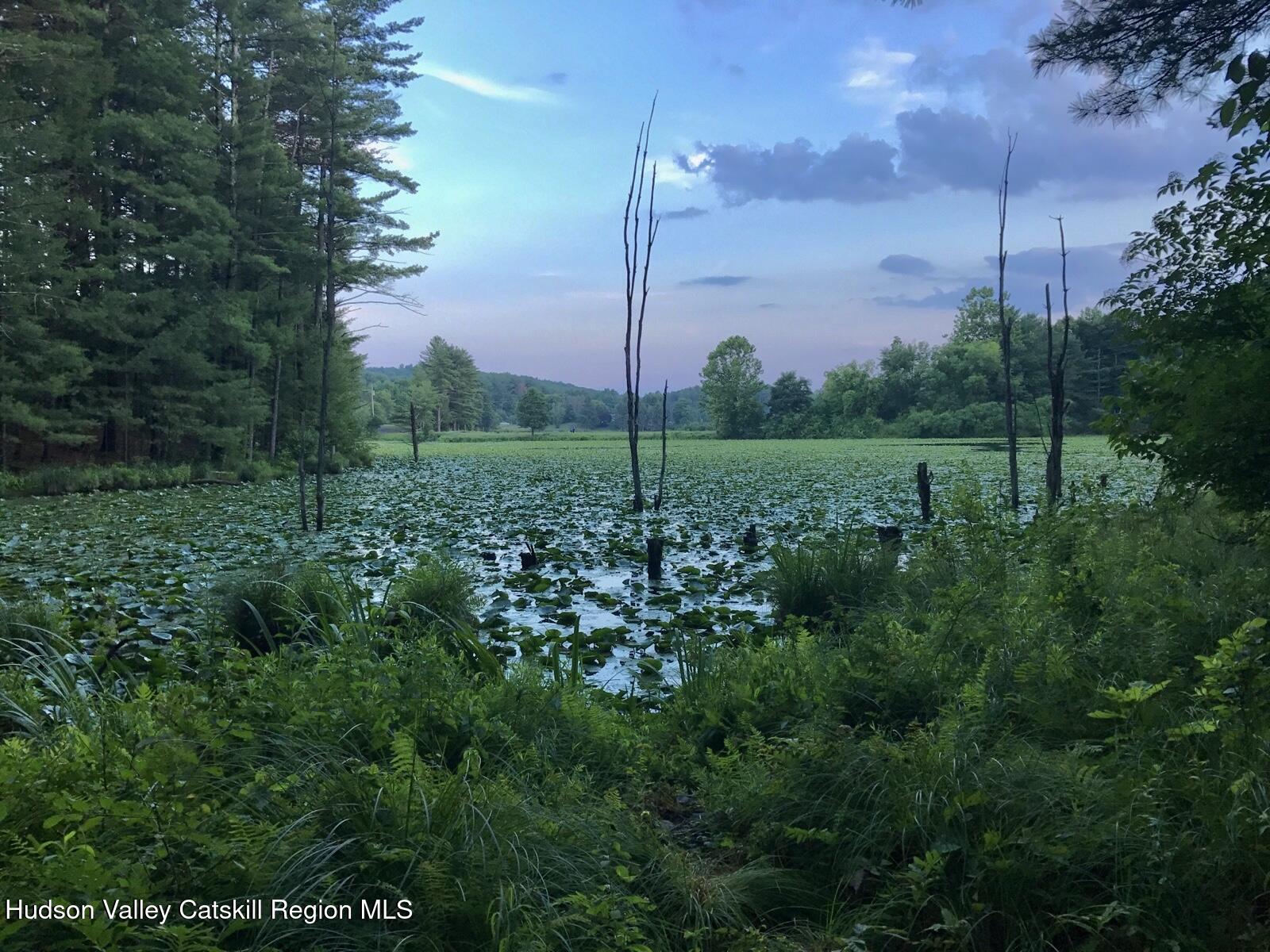 177 Webber Road Earlton, NY 12058 - Photo 9 of 50 a view of a garden with a tree