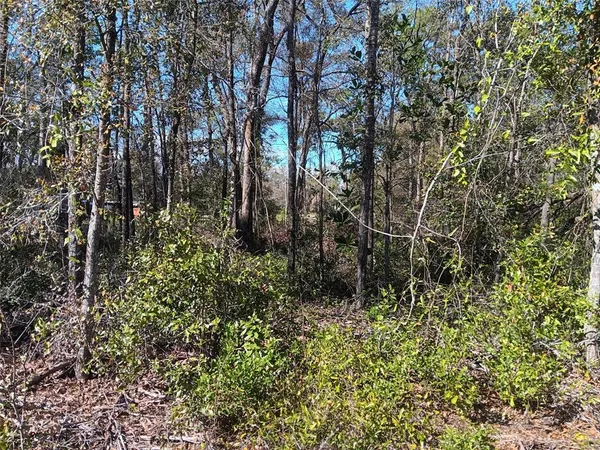 $16,500 | 155 Palm Drive, Bronson, FL 32621