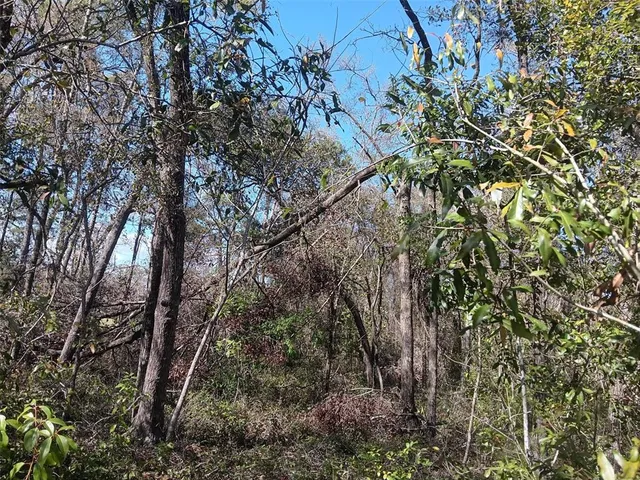 a backyard of a house with lots of trees