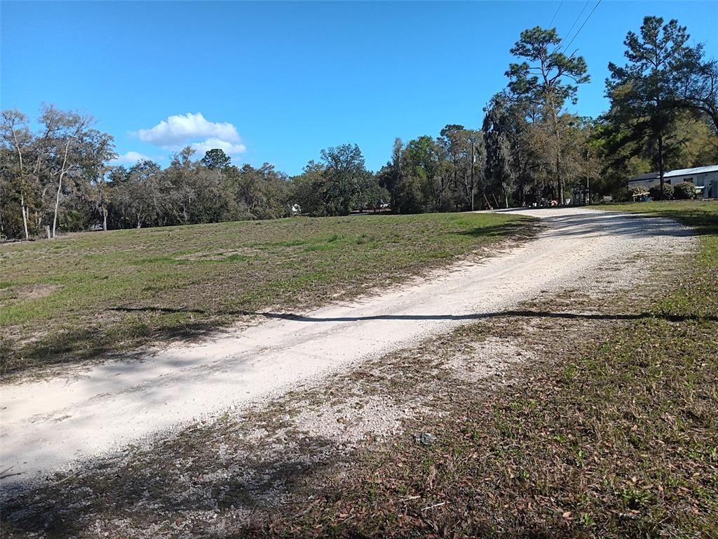 155 Palm Drive Bronson, FL 32621 - Photo 6 of 7 a view of a yard with a tree
