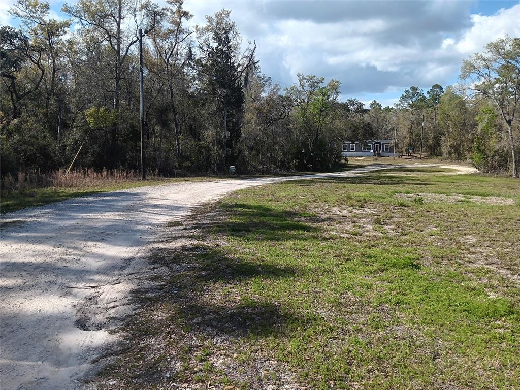 155 Palm Drive Bronson, FL 32621 - Photo 7 of 7 a view of a field with trees