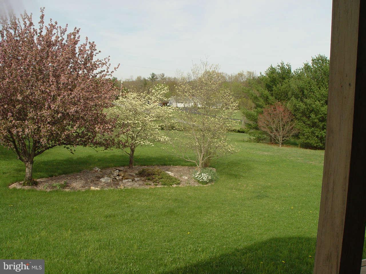 1499 Chestnut Grove Road Winchester, VA 22603 - Photo 13 of 15 View of magnificent front yard!