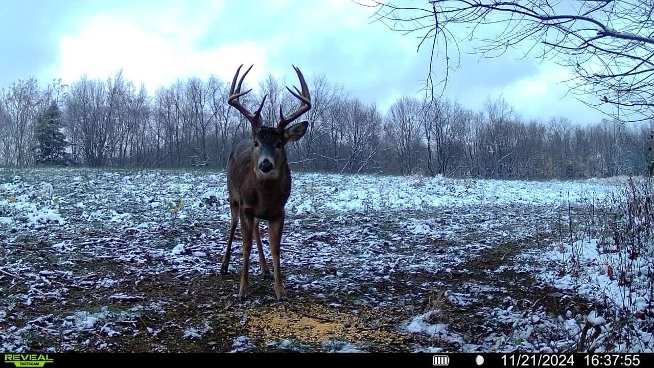 0 North Butler Liberty Road Butler, OH 44822 - Photo 2 of 47 Attachment