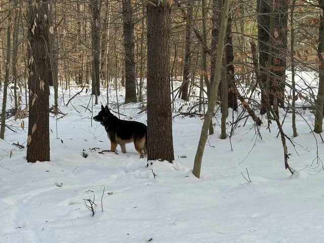 $150,000 | 68 Gilman Valley Road, Tamworth, NH 03814