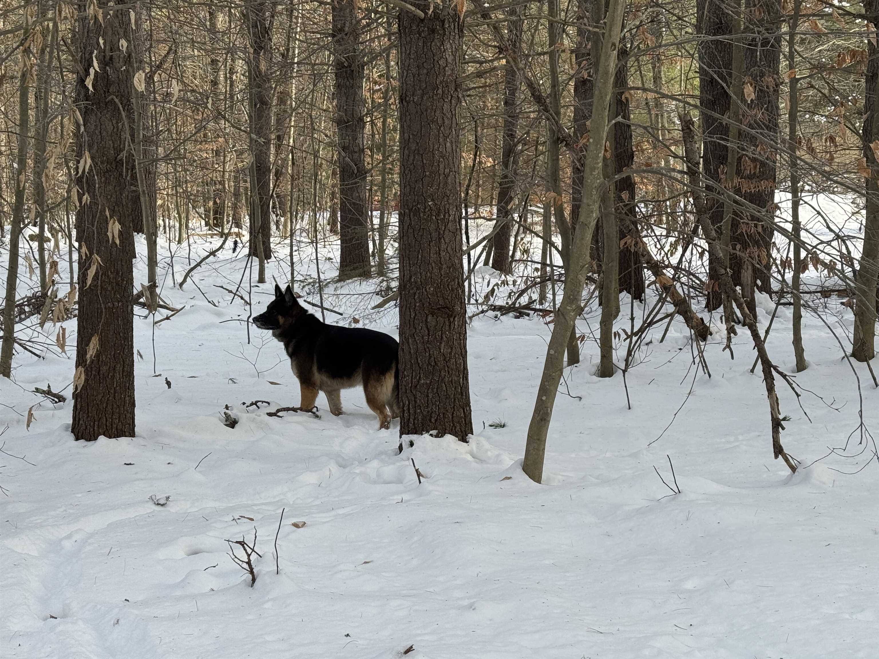 68 Gilman Valley Road Tamworth, NH 03814 - Photo 23 of 26