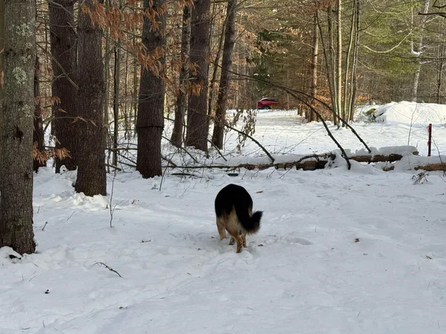 $150,000 | 68 Gilman Valley Road, Tamworth, NH 03814