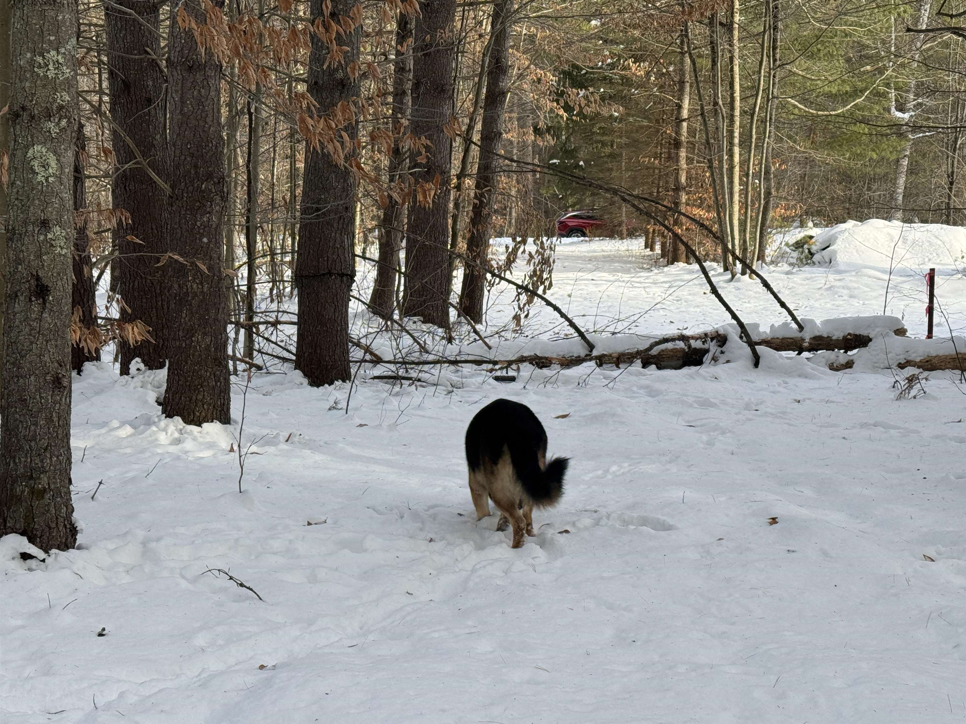 68 Gilman Valley Road Tamworth, NH 03814 - Photo 24 of 26