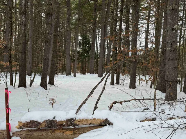 $150,000 | 68 Gilman Valley Road, Tamworth, NH 03814