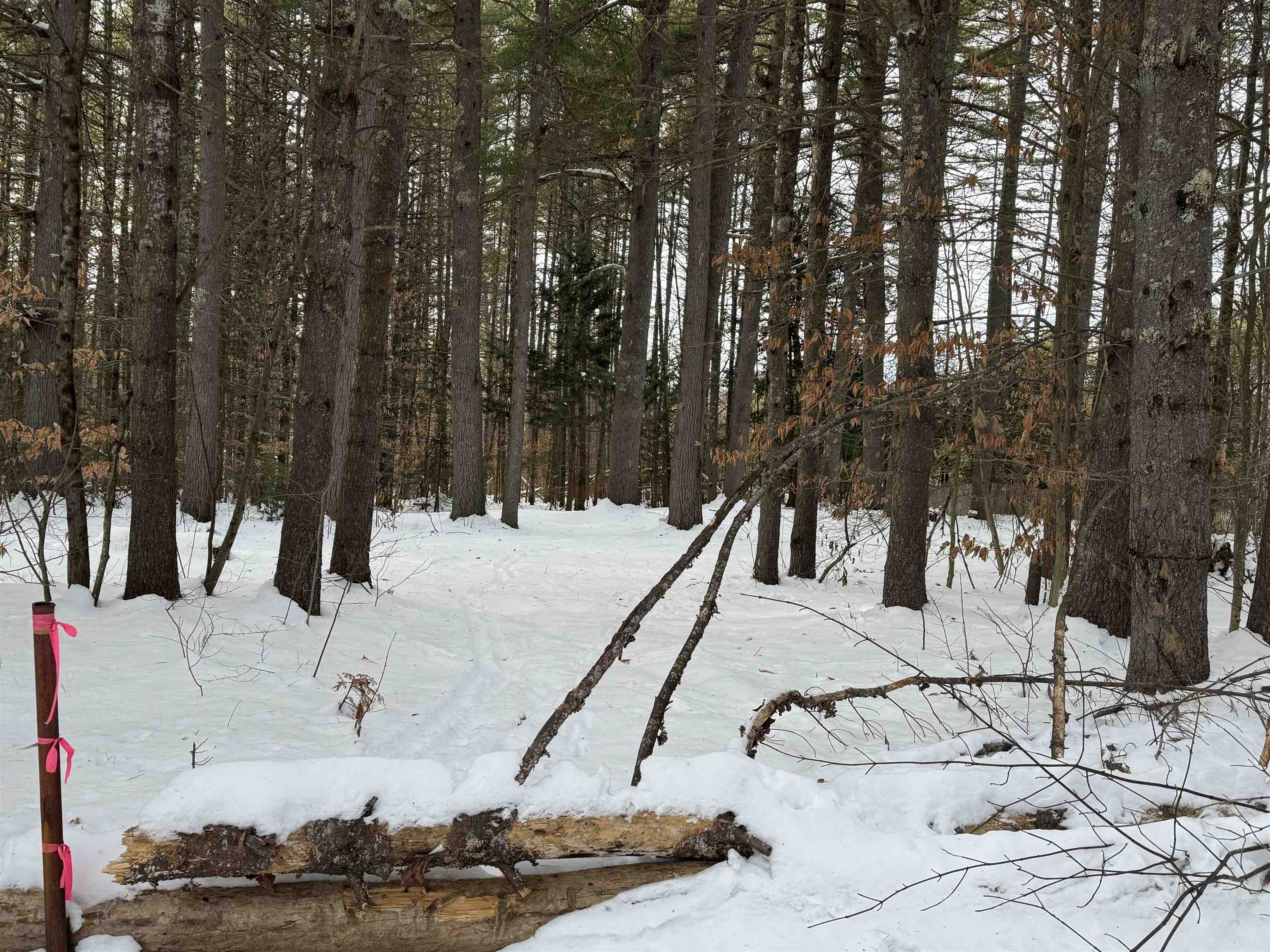 68 Gilman Valley Road Tamworth, NH 03814 - Photo 25 of 26