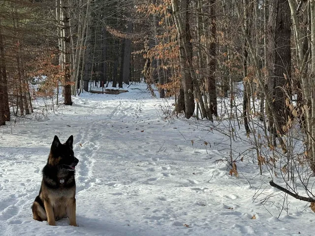 $150,000 | 68 Gilman Valley Road, Tamworth, NH 03814