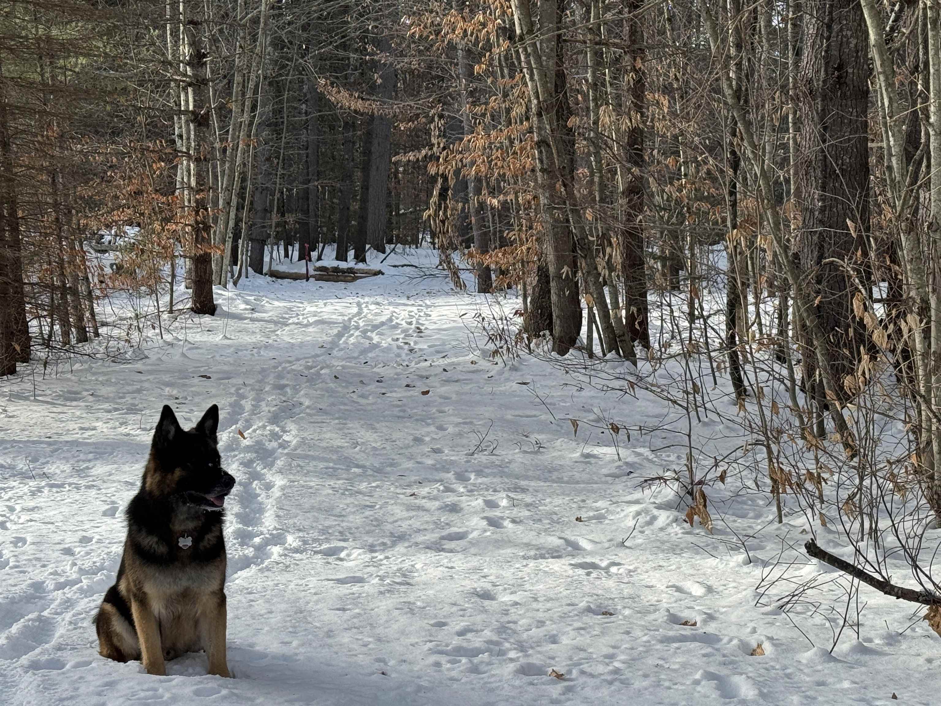 68 Gilman Valley Road Tamworth, NH 03814 - Photo 26 of 26