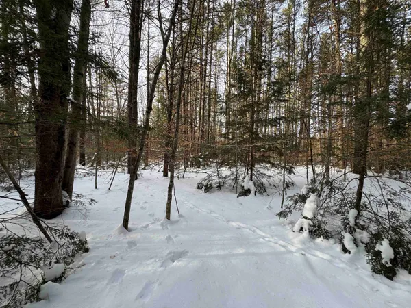 $150,000 | 68 Gilman Valley Road, Tamworth, NH 03814