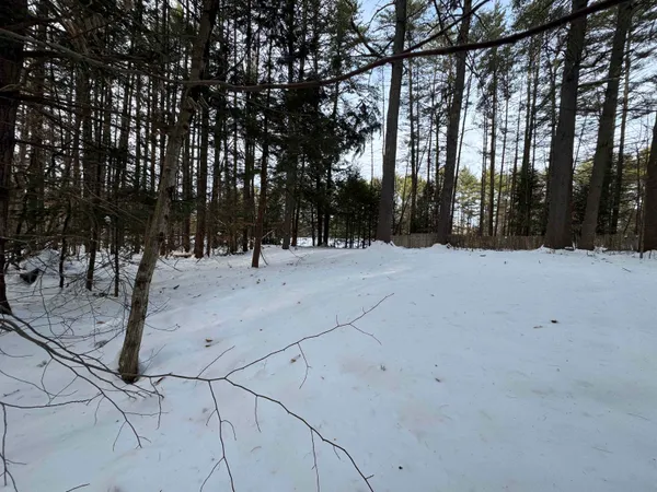 $150,000 | 68 Gilman Valley Road, Tamworth, NH 03814