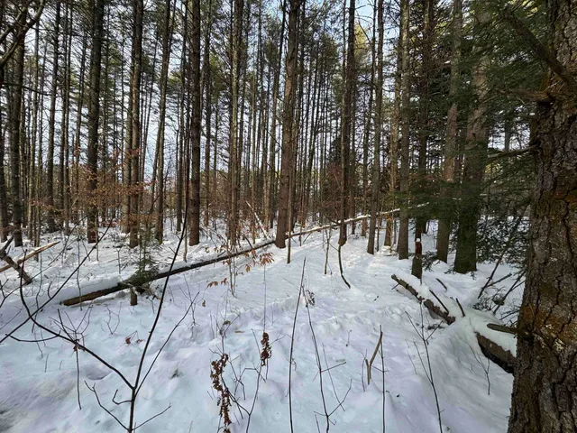 $150,000 | 68 Gilman Valley Road, Tamworth, NH 03814