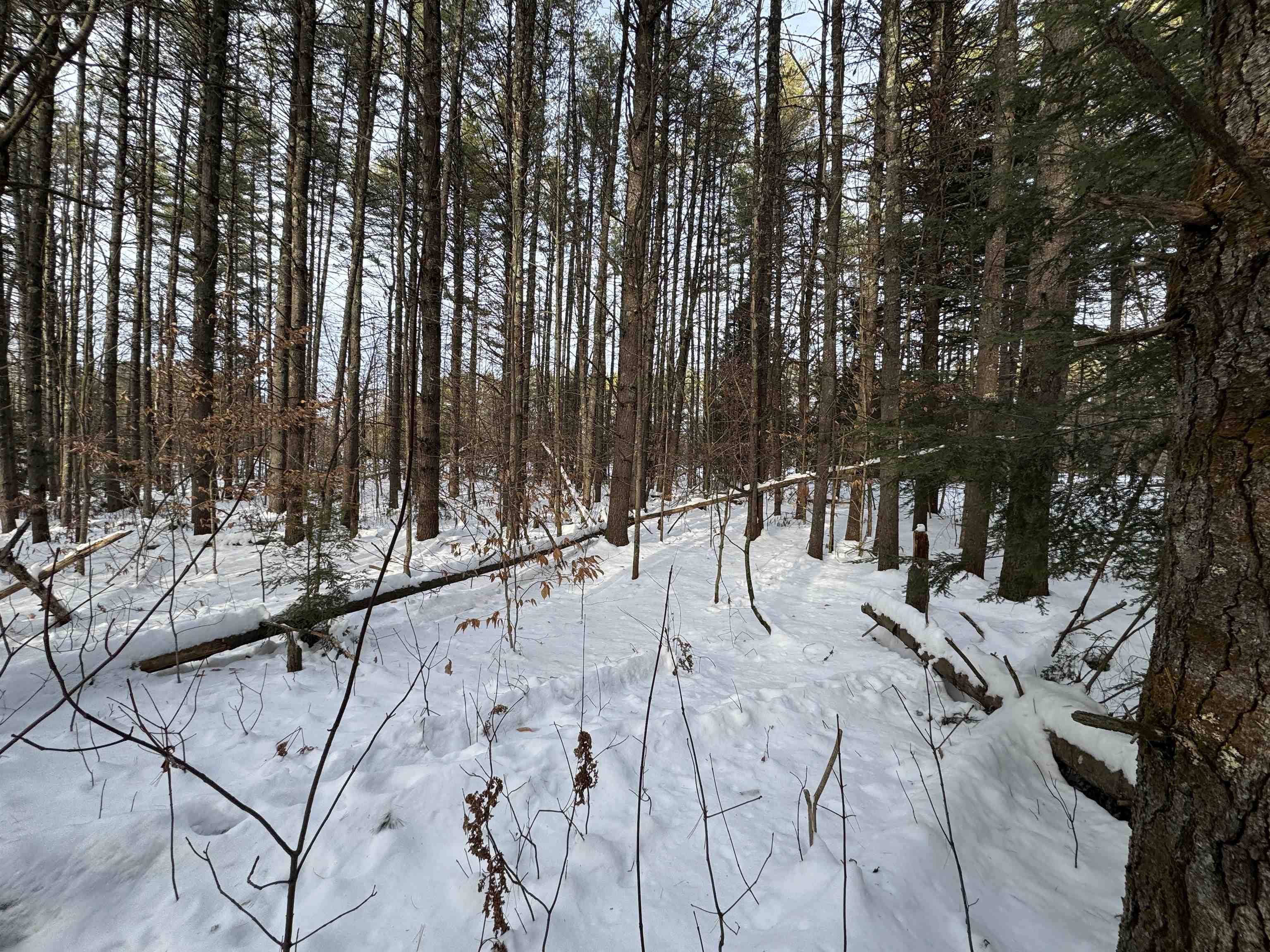 68 Gilman Valley Road Tamworth, NH 03814 - Photo 10 of 26