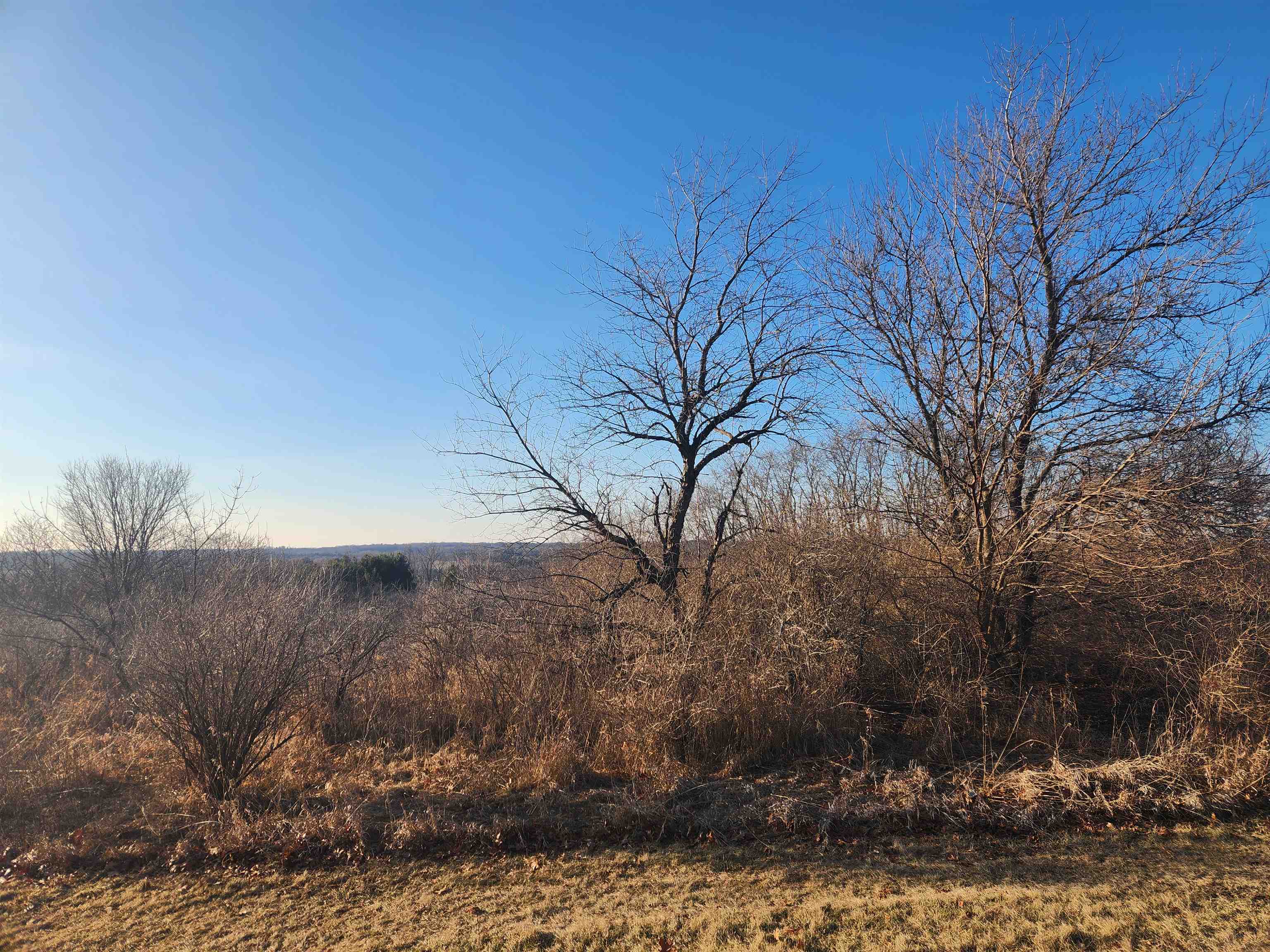 4246 Old Stage Road Brooklyn, WI 53521 - Photo 13 of 16