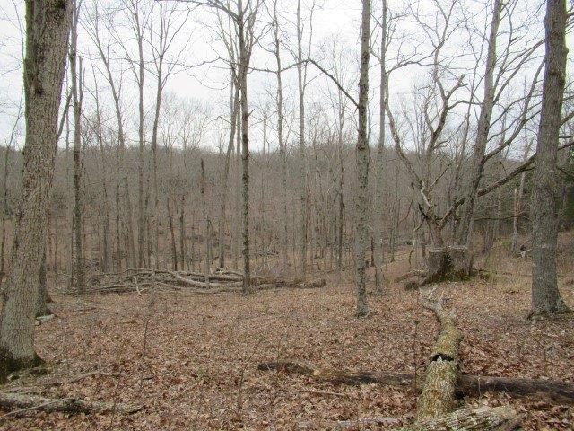 1234 North Dividing Ridge Road Sadieville, KY 40370 - Photo 16 of 16 Listing Photo