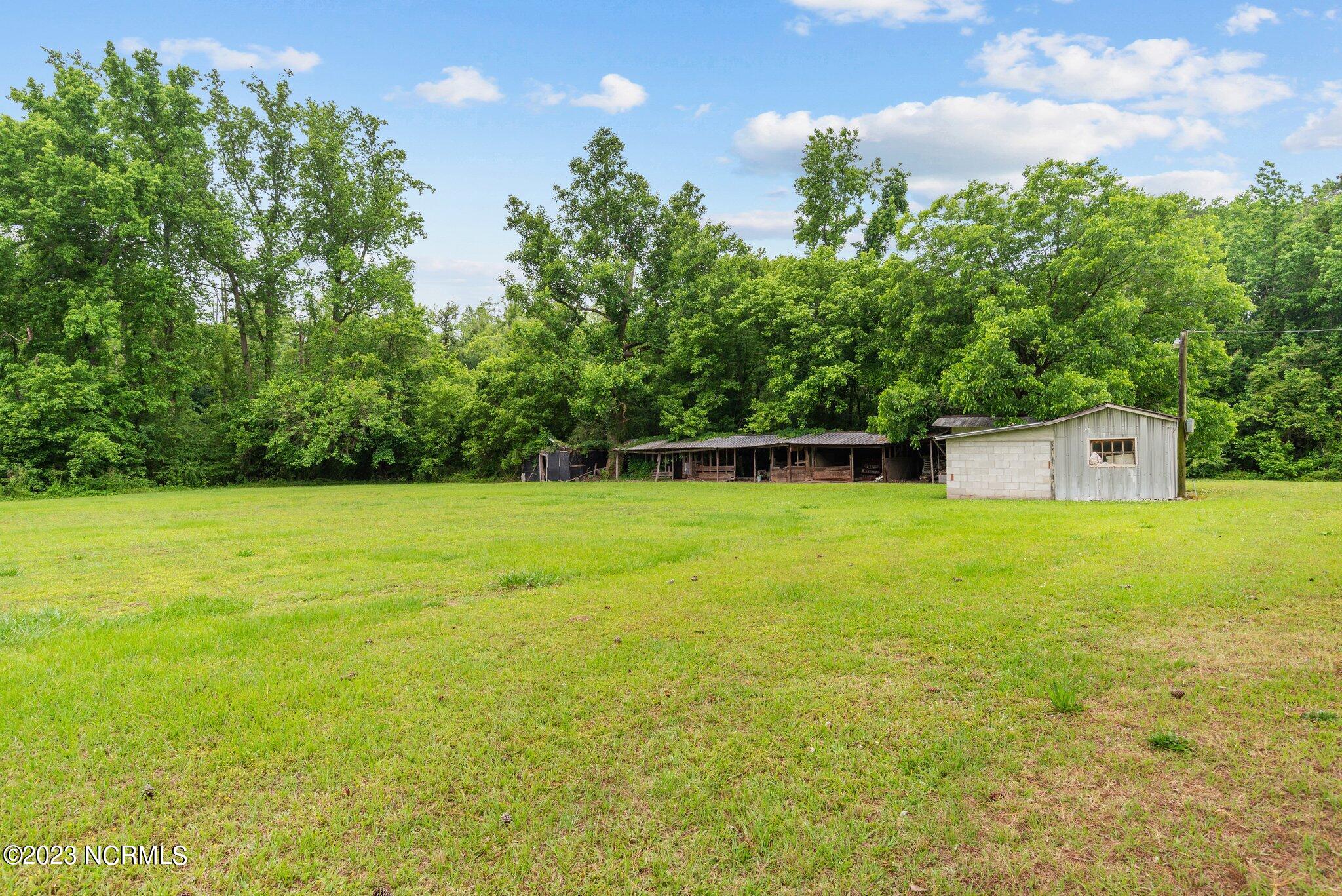 1794 Price Road Williamston, NC 27892 - Photo 29 of 38 18-web-or-mls-DSC_2984