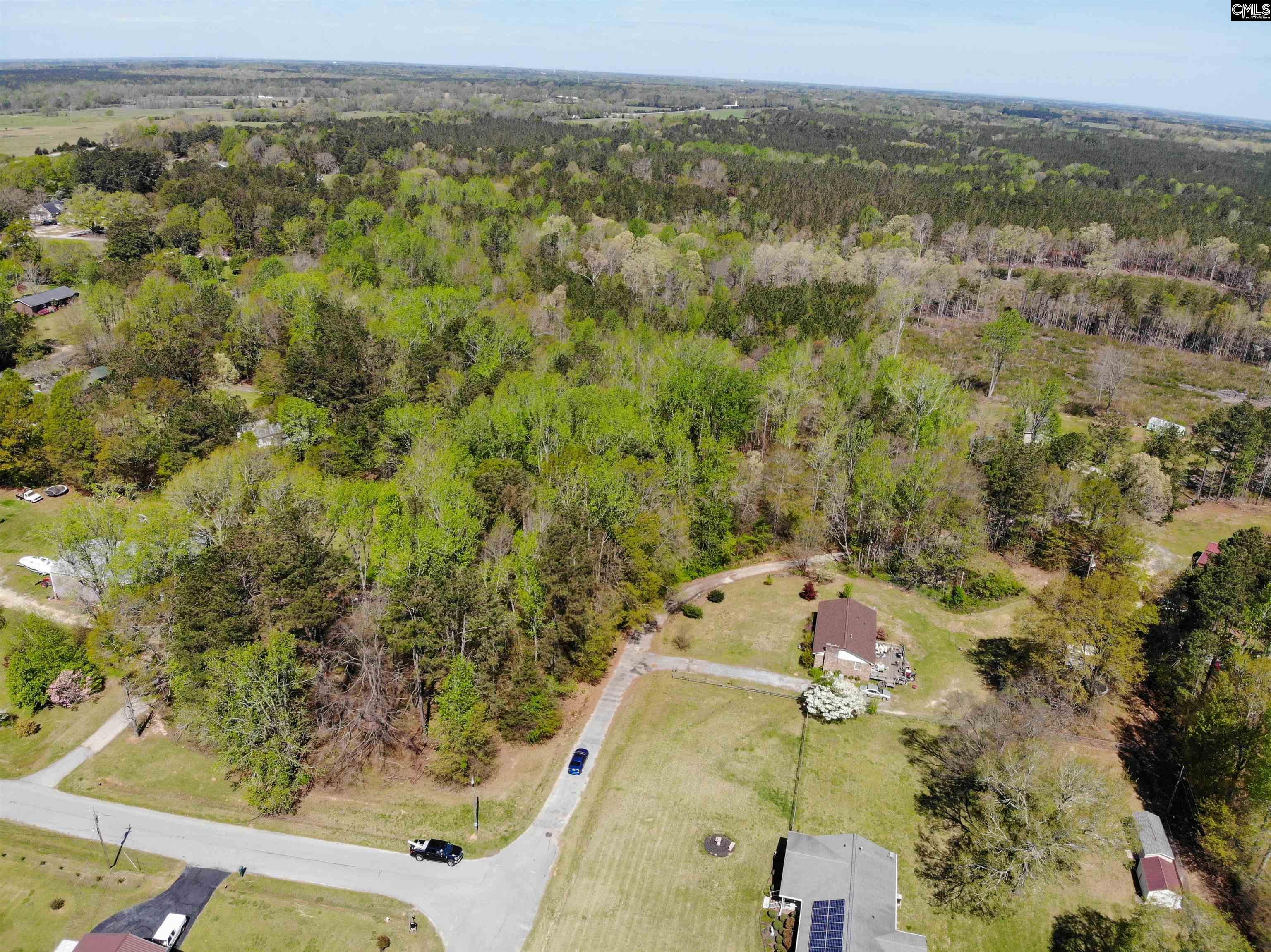 Tbd James Road Joanna, SC 29351 - Photo 41 of 82