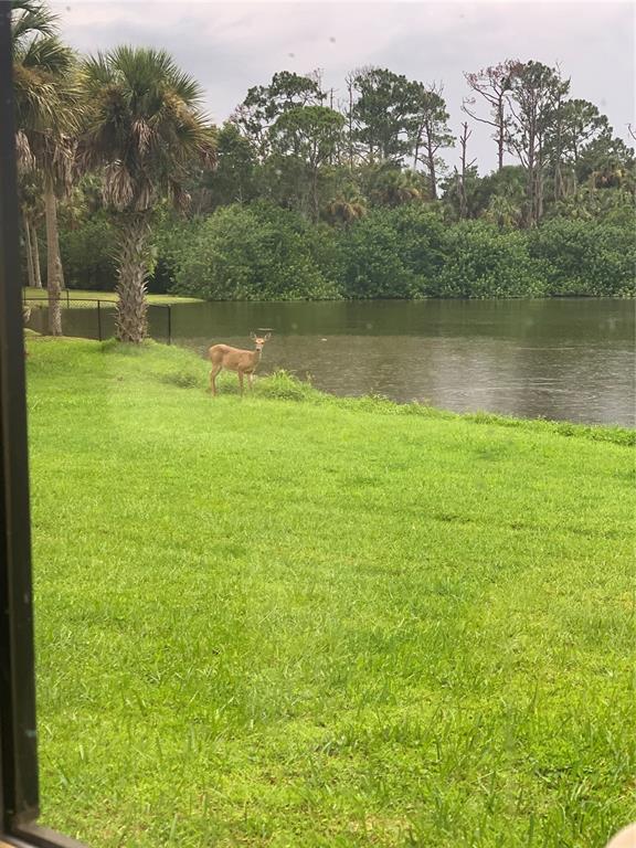 372 Rest Haven Road Geneva, FL 32732 - Photo 62 of 67