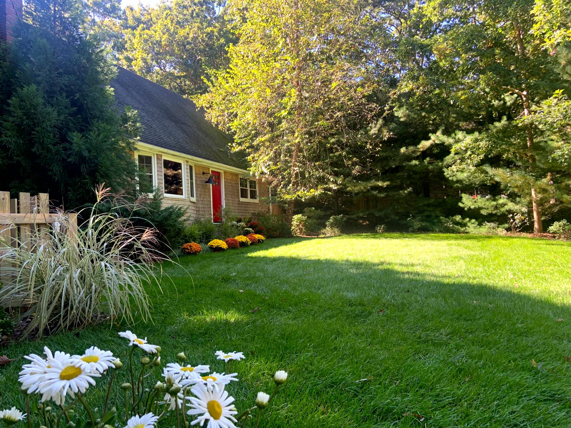 a front view of house with yard and green space
