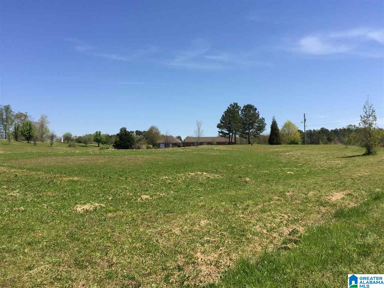 184 Country View Road Cleveland, AL 35049 - Photo 37 of 42 Gallery Image 37