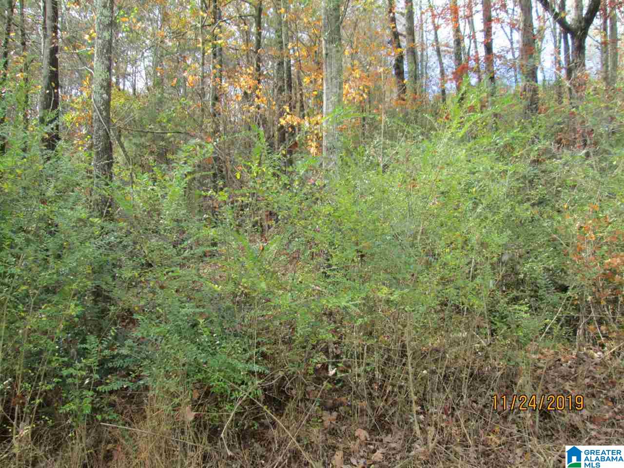 0 Cross Street, Unit 2 80 ACRES Springville, AL 35146 - Photo 3 of 8